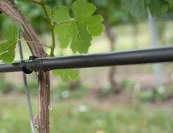 Alternative view of Nyomáskompenzált csepegtetőcső PC2 – 20 mm, 4 l/h, 33 cm osztás